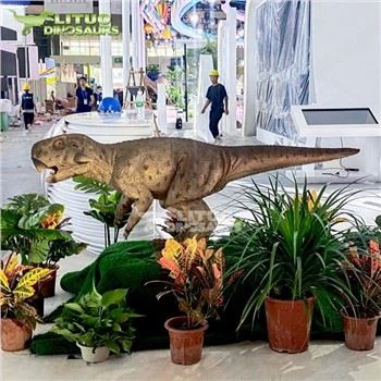 الرسوم المتحركة Psittacosaurus